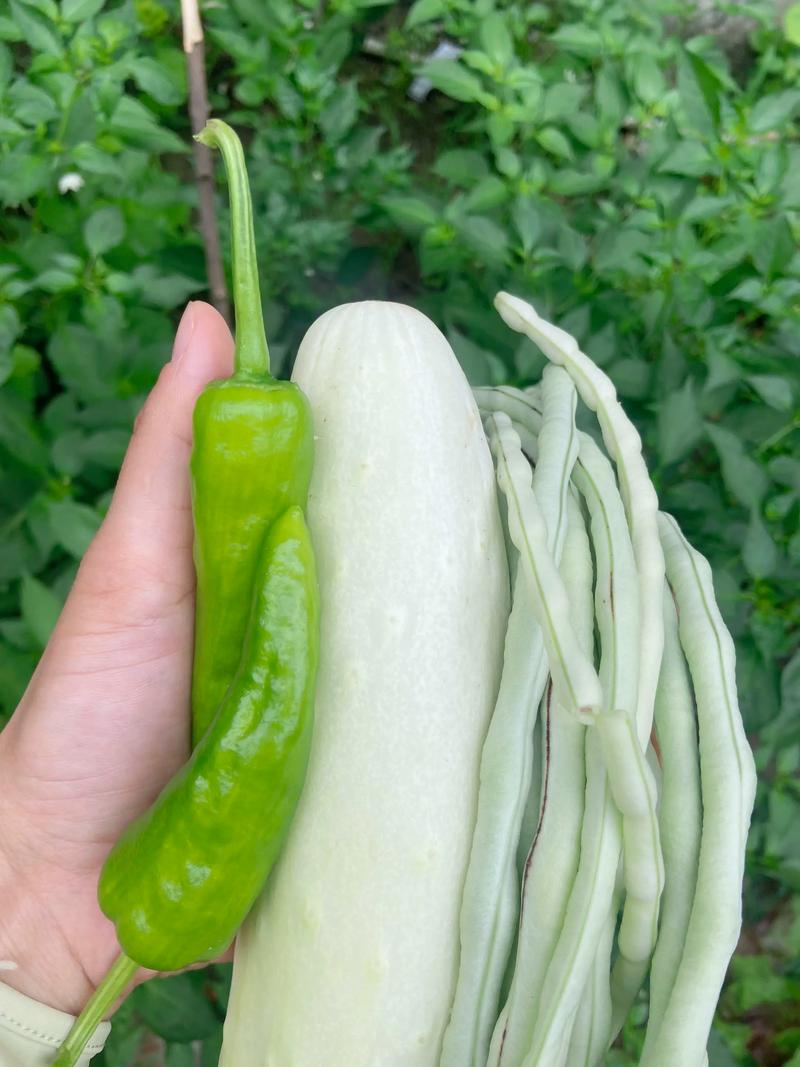 绿色种植