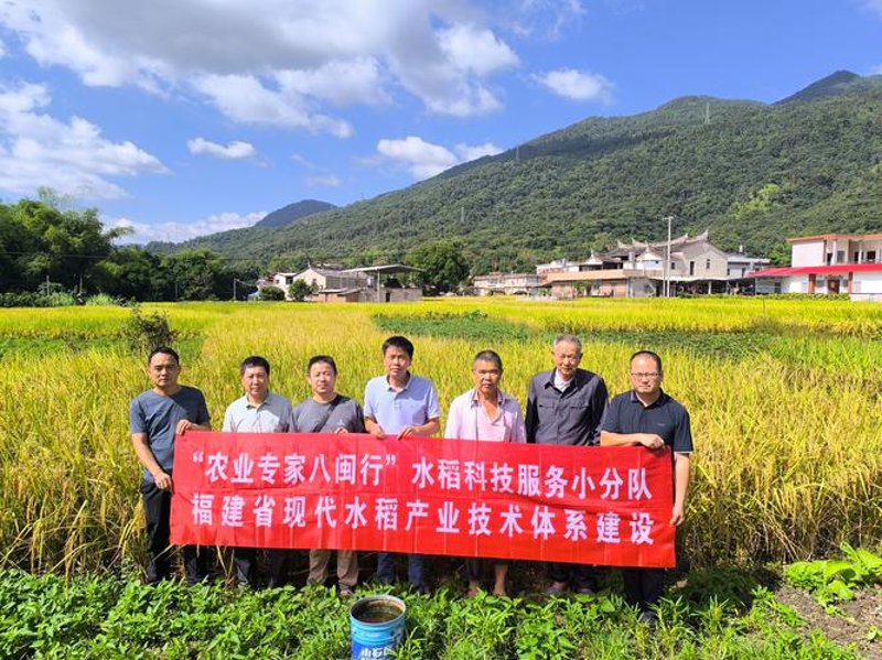 绿色种植：探索可持续农业的新篇章